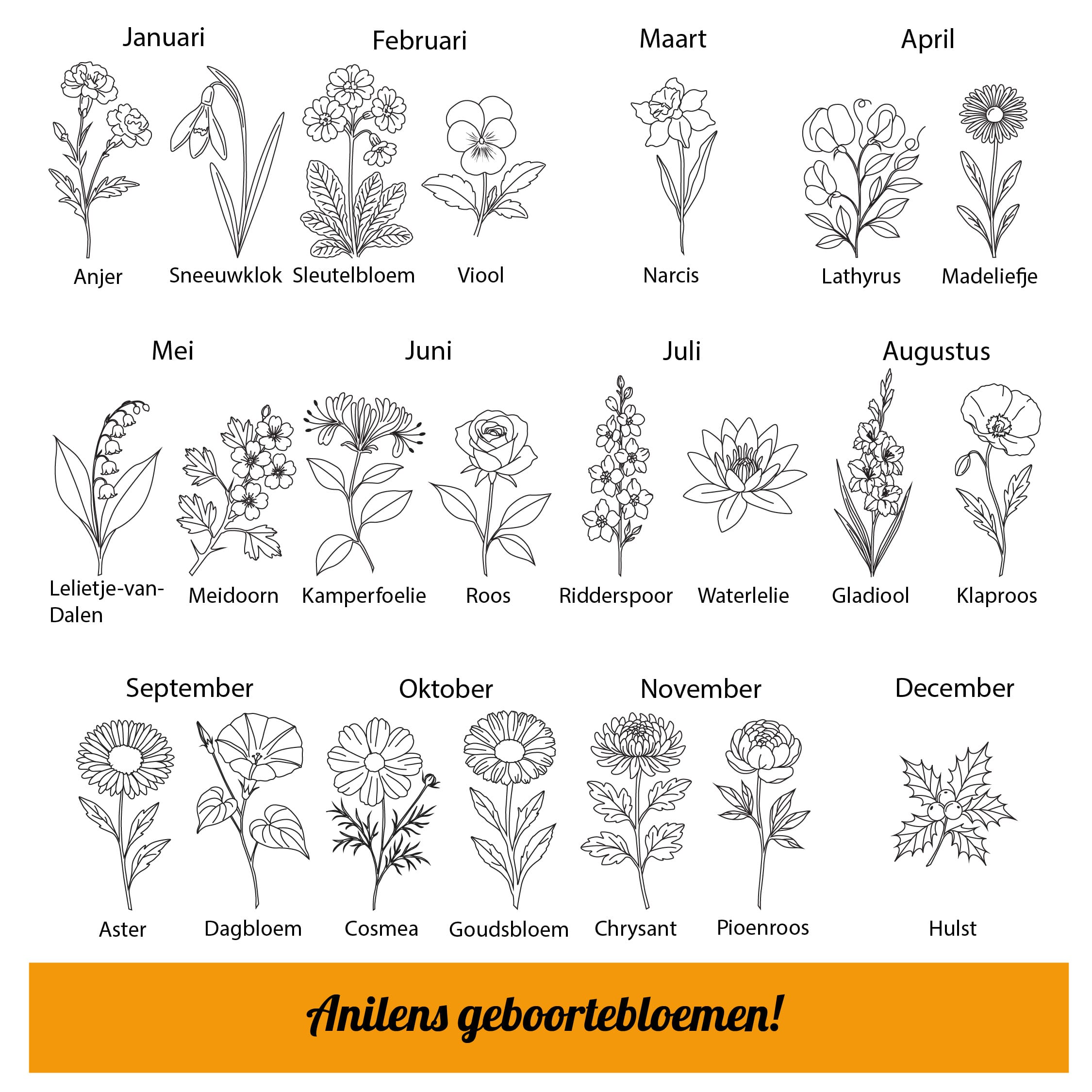 Houten Schijf - Familie Geboortebloemen - Afbeelding 5