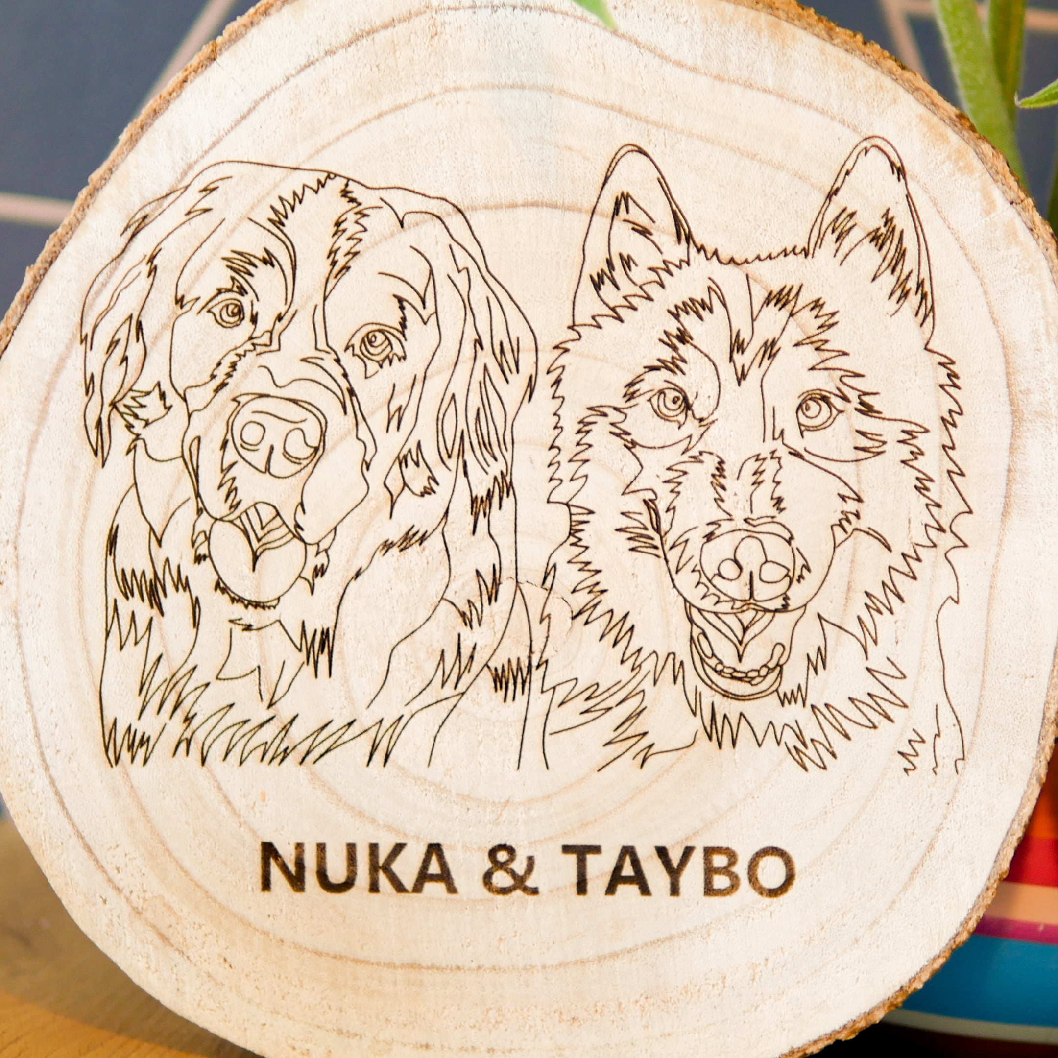 Houten Schijf - Lijntekening Huisdier